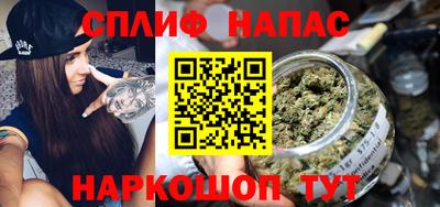 МДПВ Пенза