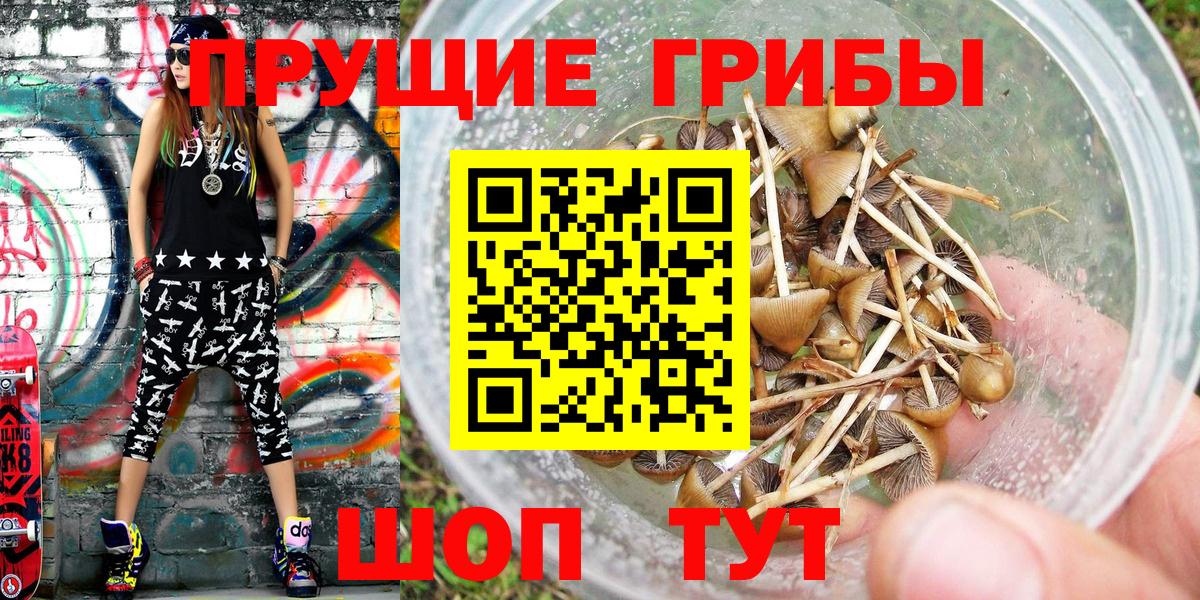Пыть-Ях  Псилоцибиновые грибы мухоморы  Вход с VPN  Псилоцибиновые грибы Magic Shrooms 