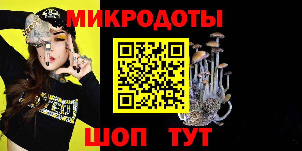 Псилоцибиновые грибы Psilocybine cubensis Пыть-Ях